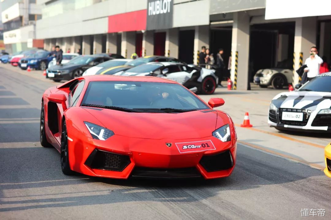 我和春天有个约会,我和春天有个约会阅读