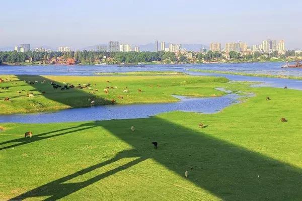 三年评先进,湖北表扬的10个县