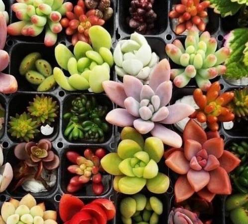 身在天涯心在咫尺情在心里,身在天涯心在墨里是什么意思