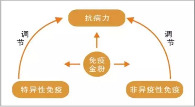 养殖繁育牛怎么挣钱,养殖母牛技术与治疗