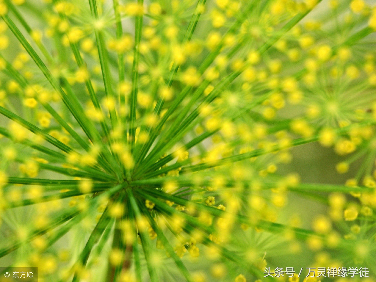 不为难别人是最好的教养,一个人最好的教养不是对外人