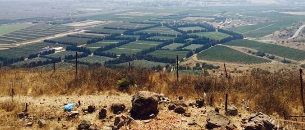 世界上最不可思议的风景,世界上最不可思议的水果