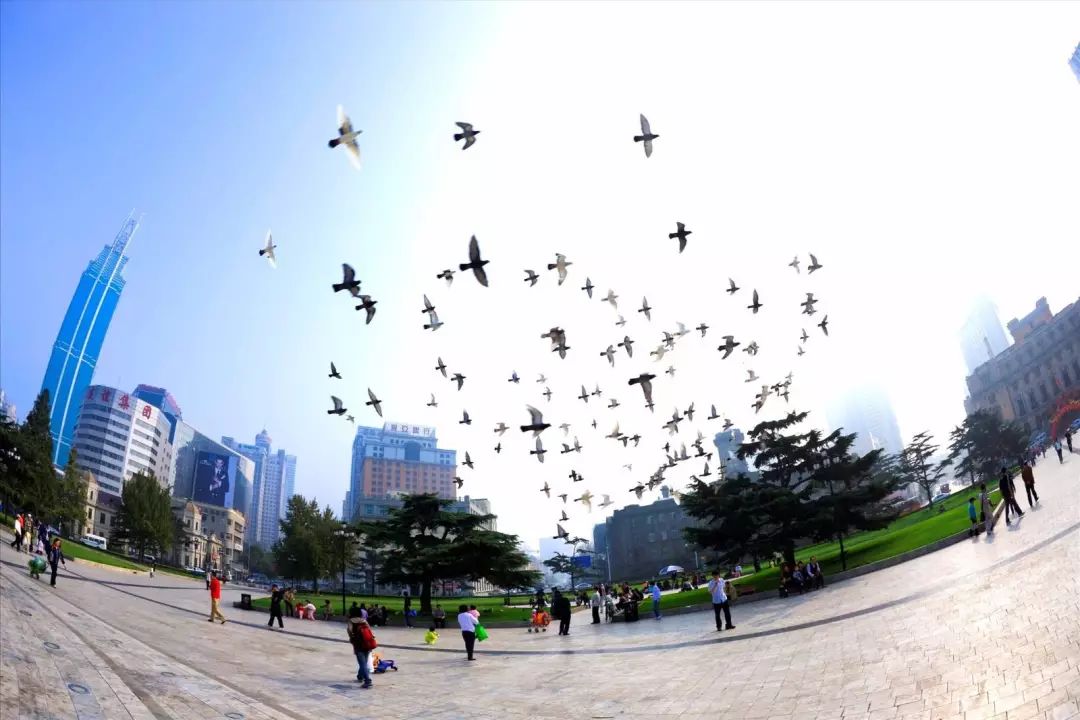 大连又好玩又拍照好看的地方,大连有什么拍照的好去处