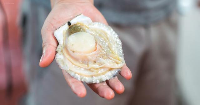 黑妹胖胖旅游记,三亚胖小六5天4晚自由行团报价