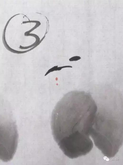 国画鸟的画法初学者,鸟的眼睛画法国画