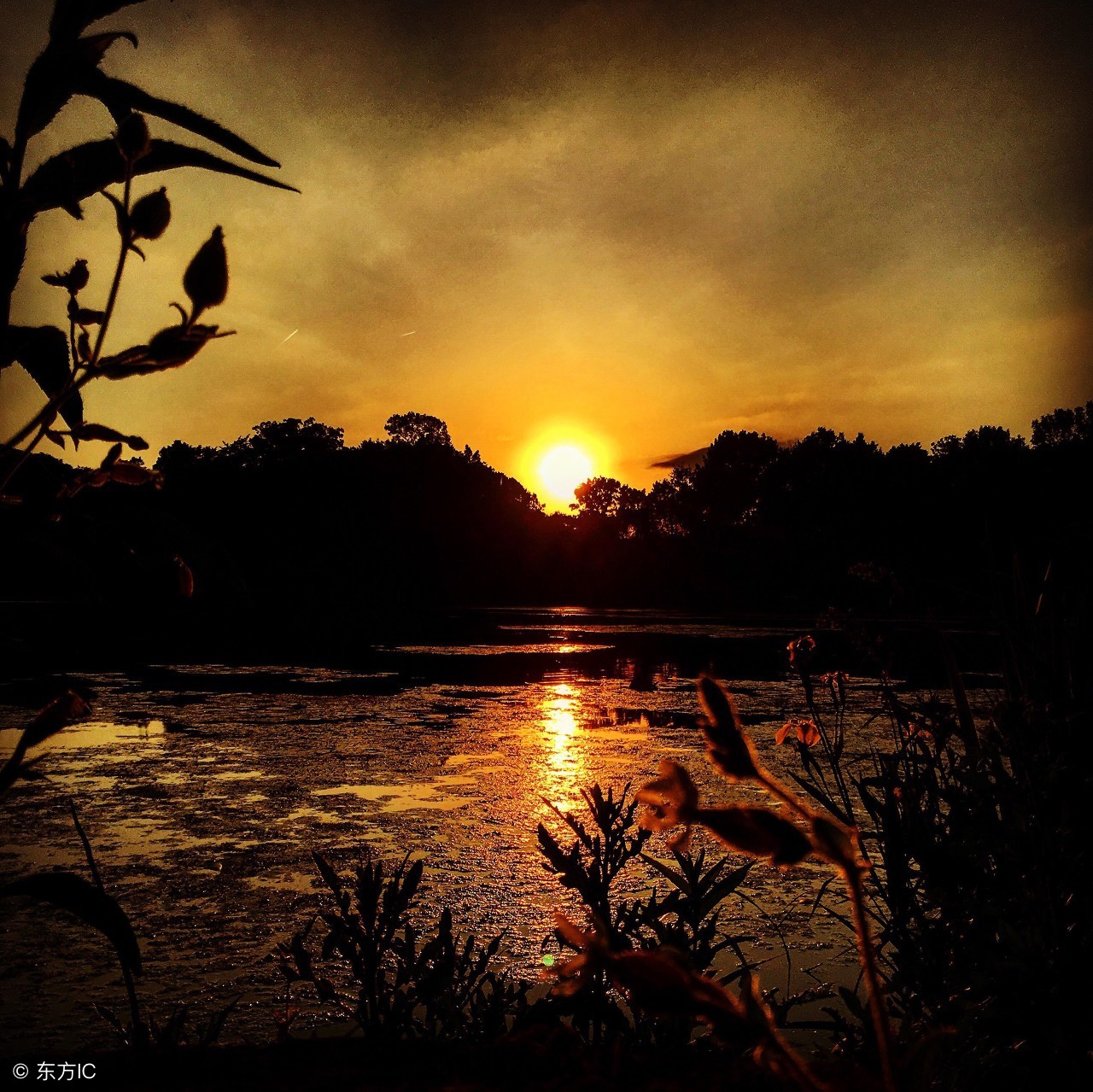晚安心语不喜不悲,晚安心语岁月静好时光安然