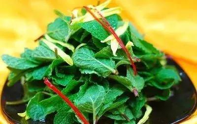 余庆野菜,余庆好吃的推荐