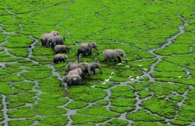 戏剧名人堂丨特立独行的她,活成了很多人想要的样子