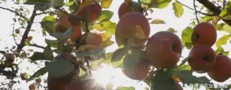 生鲜次品如何销售,次品怎么在淘宝网上卖