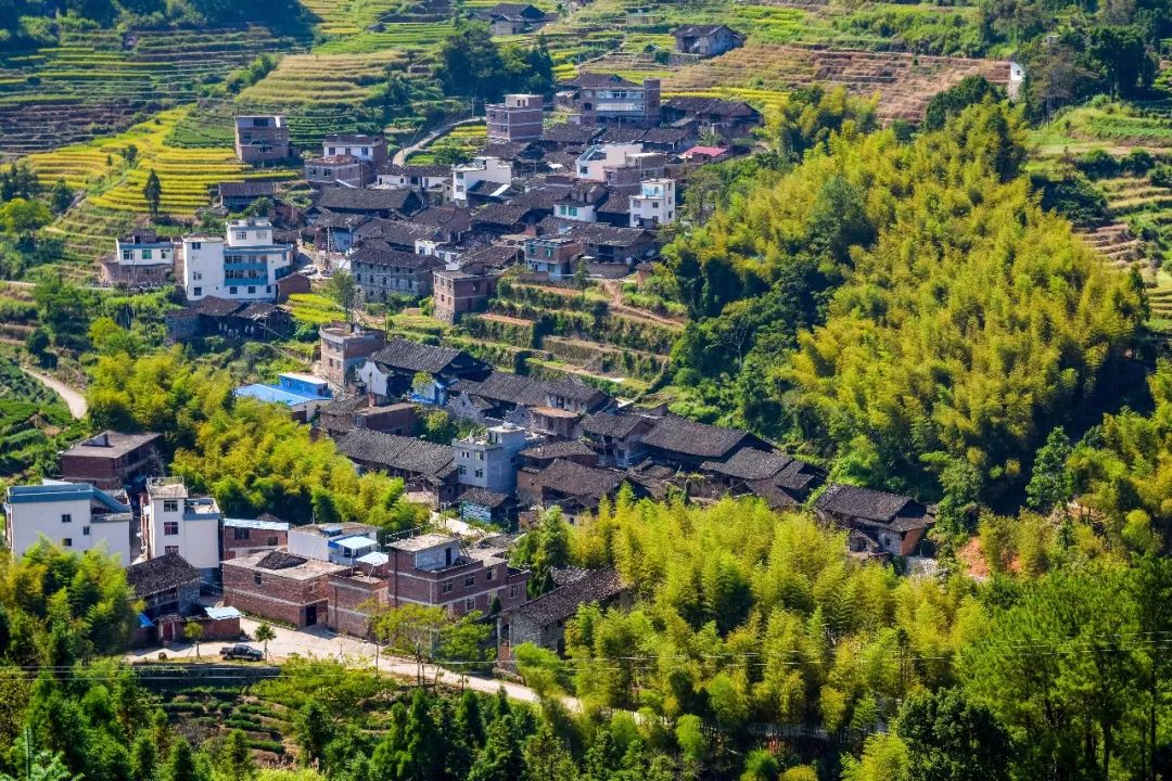 柘荣黄柏景点,柘荣黄柏村旅游攻略