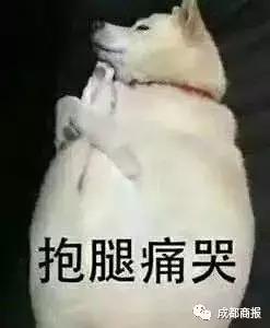 朋友圈“海外代购”发国外上课照片、晒带货视频……全!靠!演!