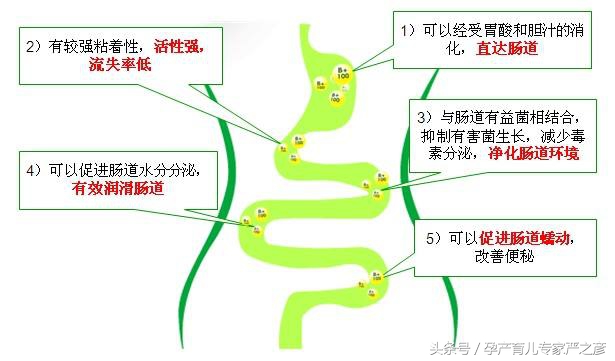 宝宝拉肚子吃益生菌便秘,拉肚子益生菌管用吗