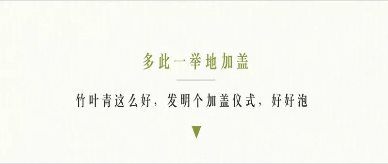 解锁春茶的多种冲泡方式,春茶上市的正确冲泡方法