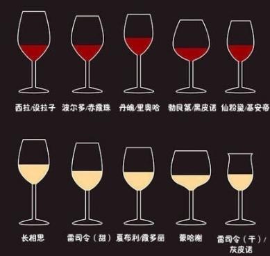 葡萄酒的常识知识大全,有关葡萄酒的知识大全