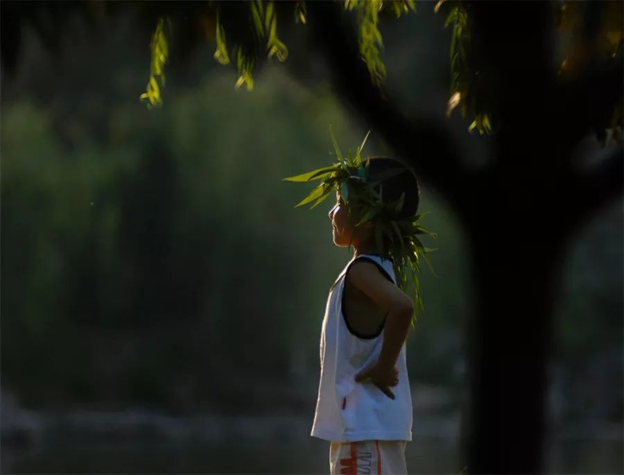 我爱摄影说说,我爱摄影图片