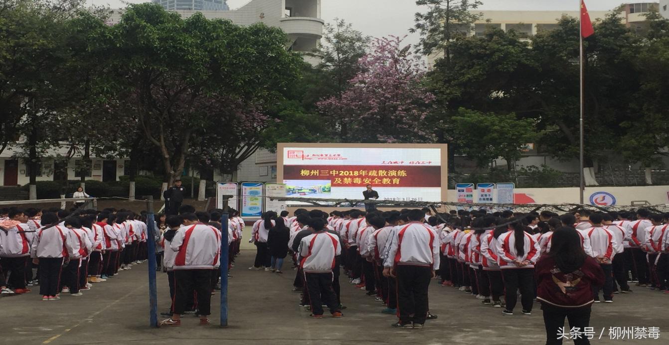 拒绝烟酒与禁毒实践作业,开展开学第一课禁毒教育活动简报