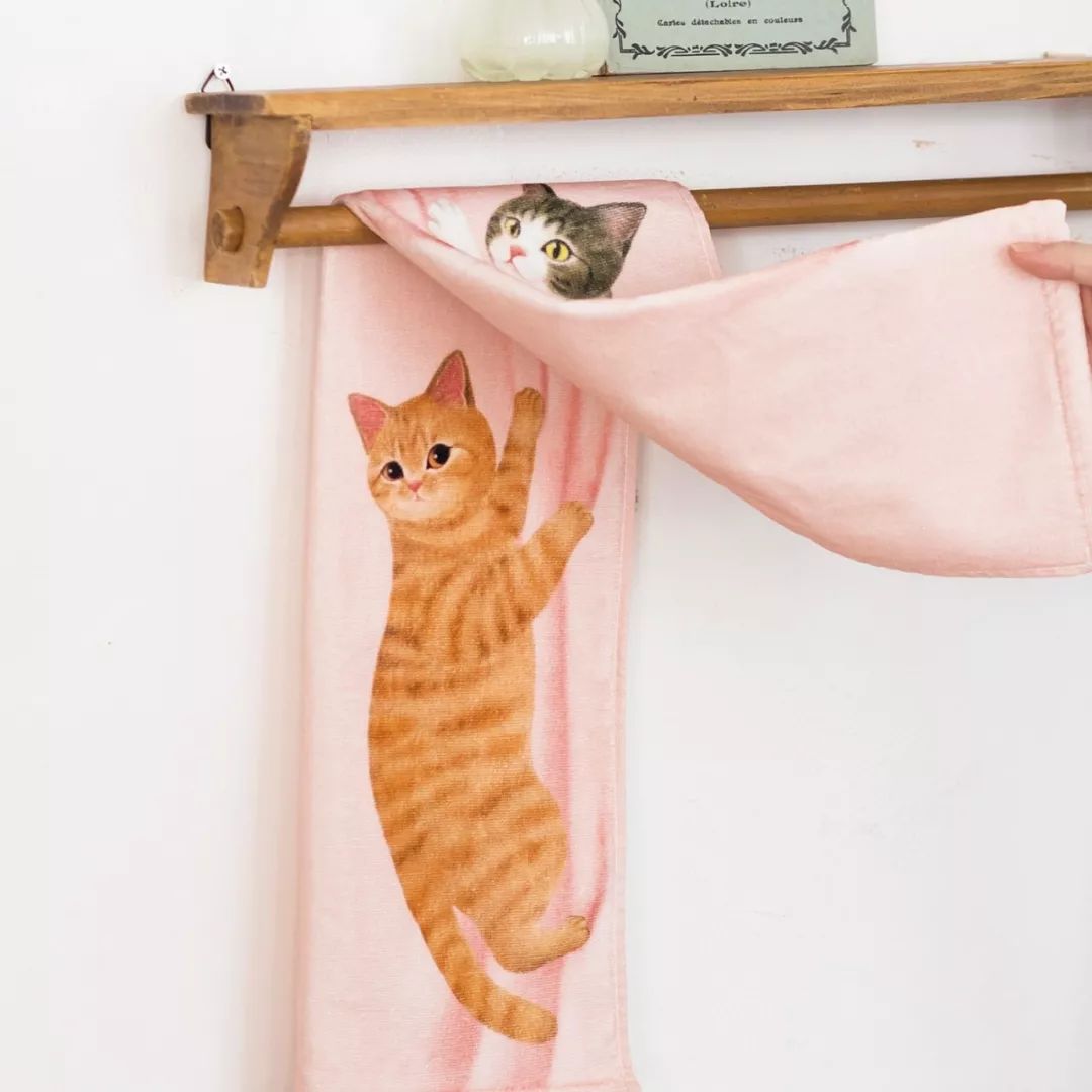 放开我的钱包啊！令猫奴闻风丧胆的种草大会！