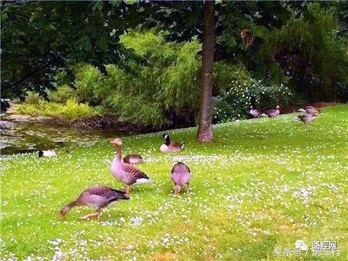 房车旅行真实生活记录,真实的房车旅行生活