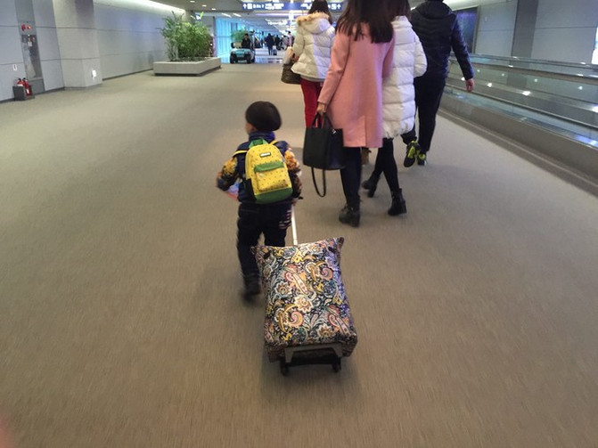 带着老人和孩子去上帝的水族馆！帕劳