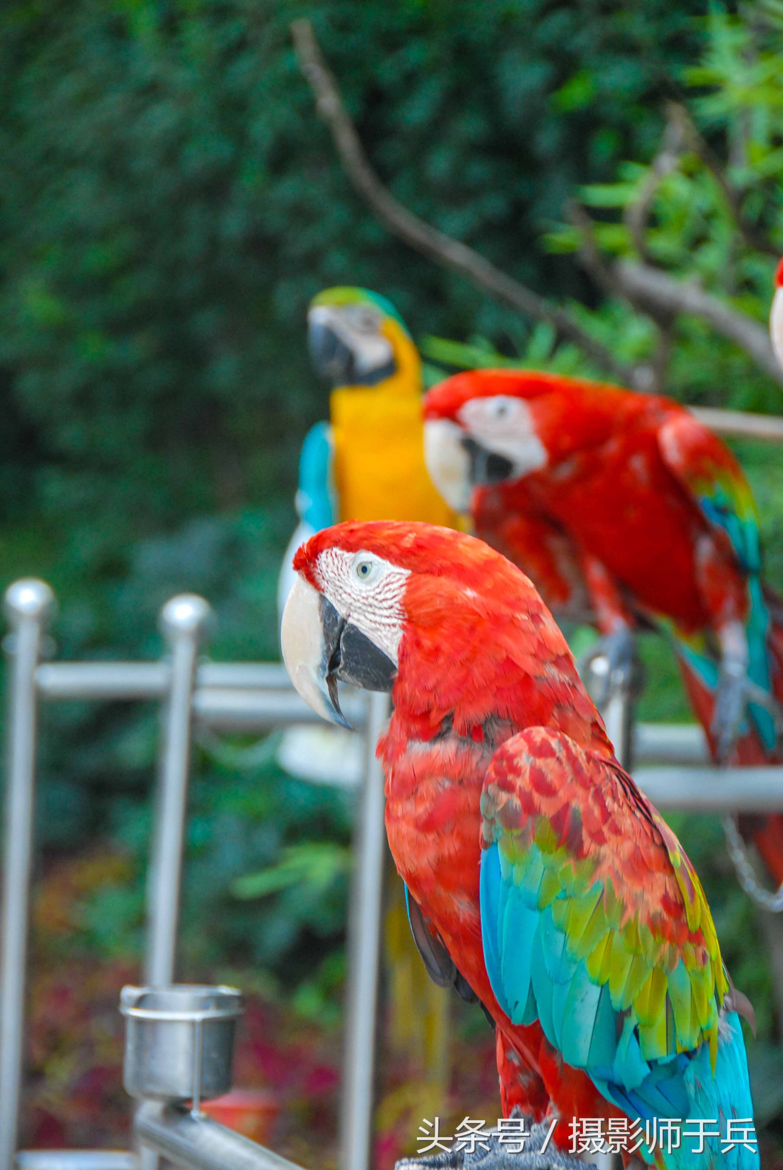 大连海洋主题公园在哪里,大连最著名的老虎滩海洋公园