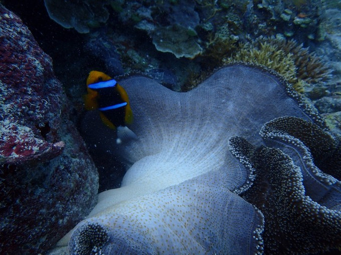 太平洋上的美丽岛屿,太平洋绝美海岛