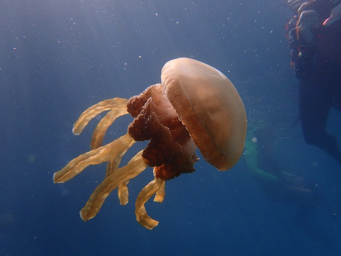 太平洋上的美丽岛屿,太平洋绝美海岛