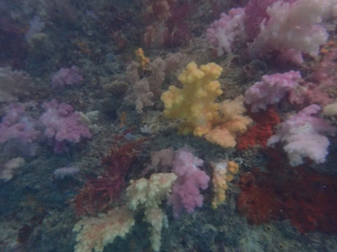 太平洋上的美丽岛屿,太平洋绝美海岛