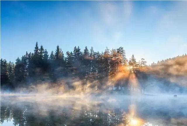 古筝电子音乐欣赏,古筝与音乐