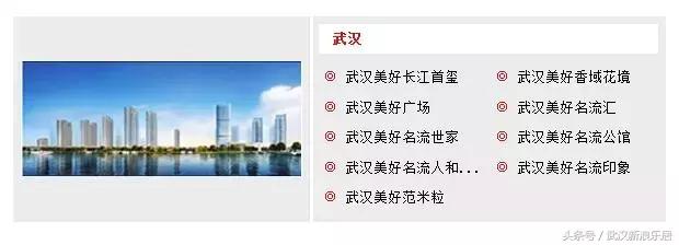 中国十大房企排名图片,中国十大房企排名
