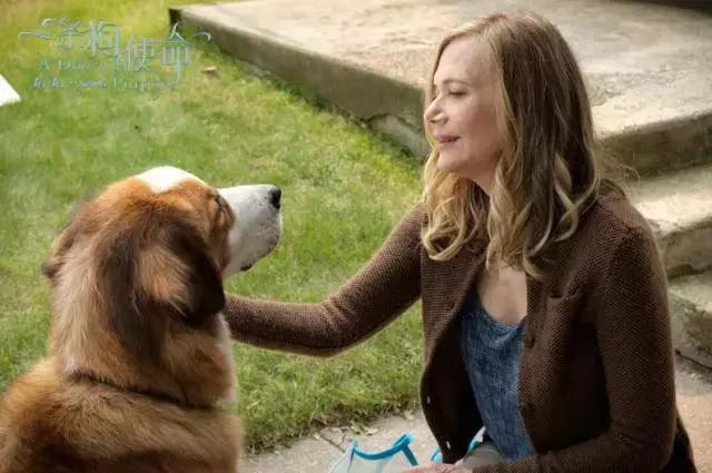 确认过的眼神是我想宠的人,确认过眼神是我想撩的灵魂