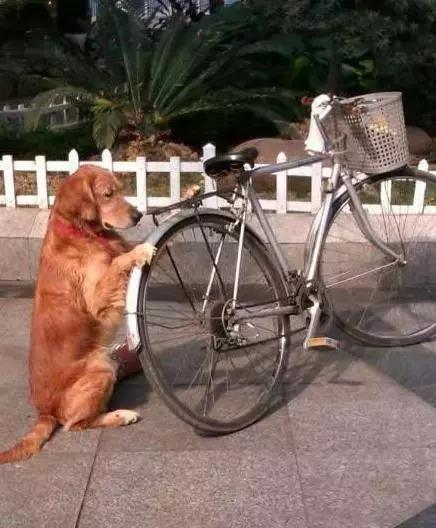 确认过的眼神是我想宠的人,确认过眼神是我想撩的灵魂