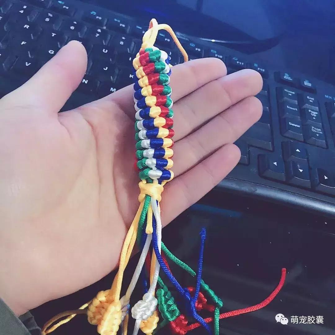 【V-story】做一名宠物医师是种怎样的体验?(上)