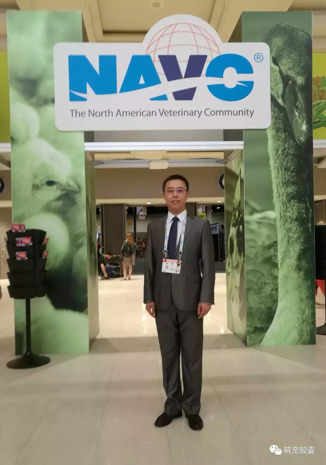 【V-story】做一名宠物医师是种怎样的体验?(上)