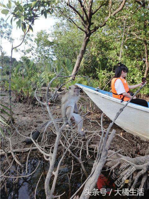 悠哉的沙巴行空气清新重要的是接机仅需1元