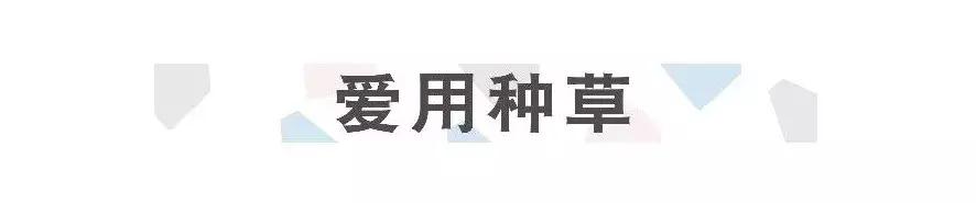 十大最难用彩妆,好用小众的护肤彩妆有哪些