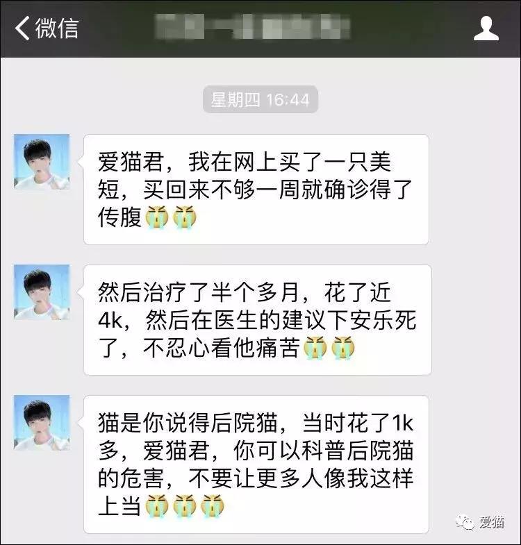 后院猫安乐死,在猫舍买的猫三天就死了