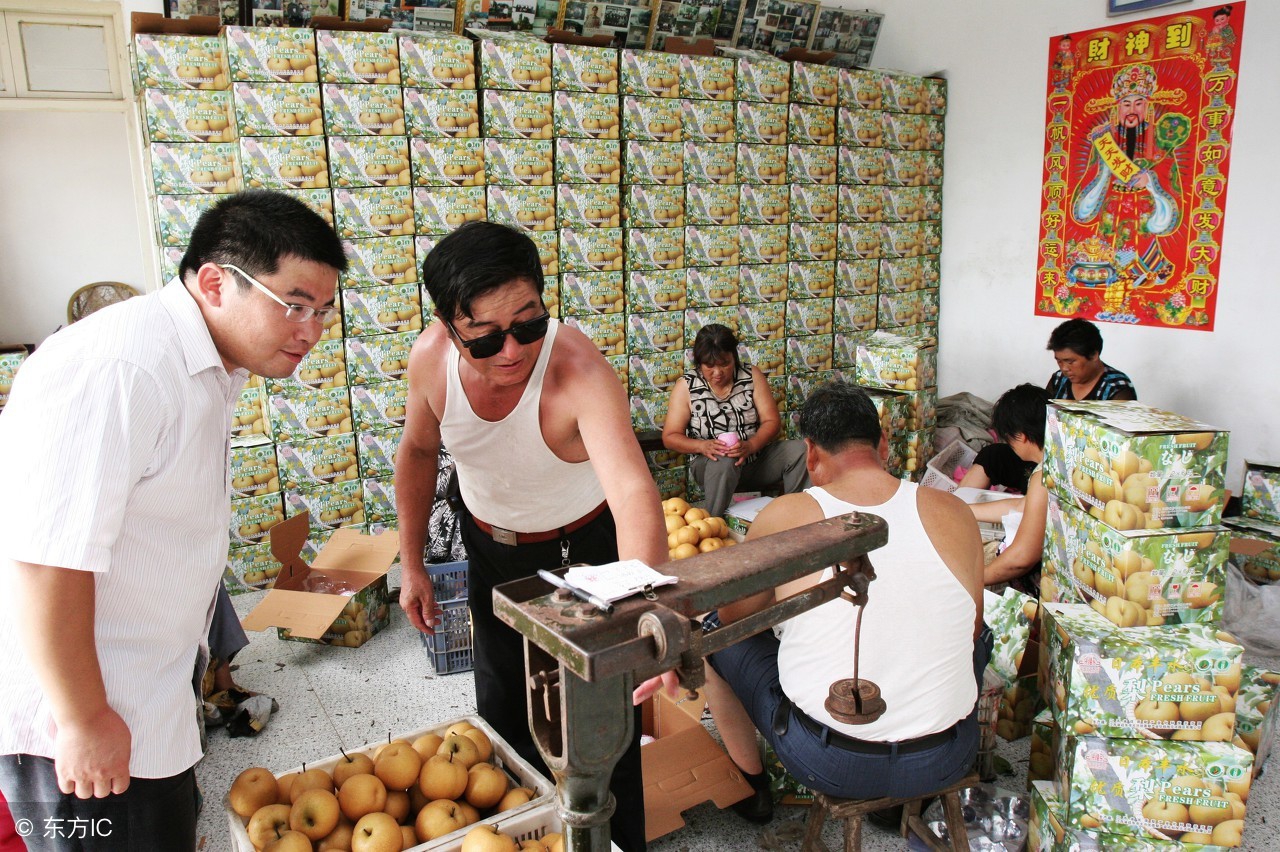 在农村种地有什么好的出路,不想打工在农村做什么好