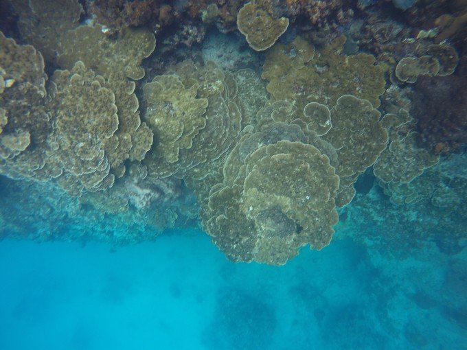 很少人知道的海岛国家！帕劳