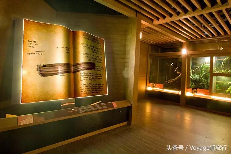 香港除了迪士尼还能去吗,香港除了迪士尼还有什么好玩的