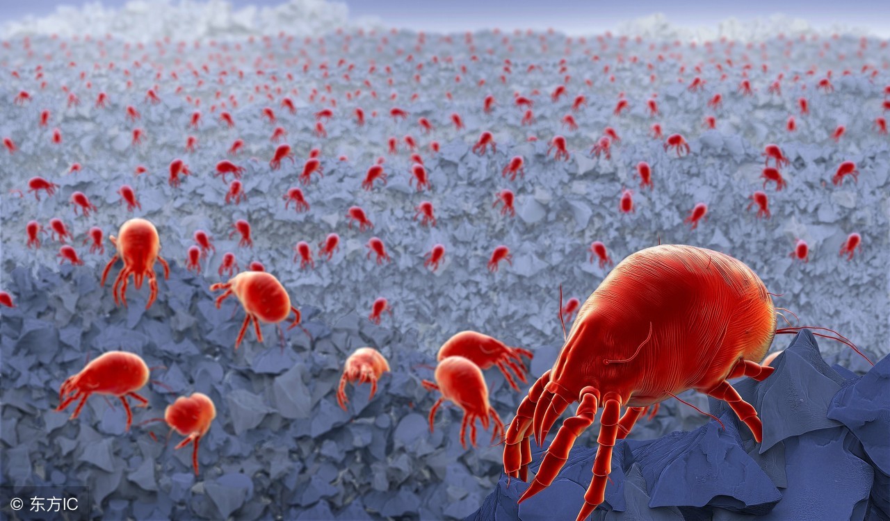 深扒：“非皂基”硫磺皂68元还都用？硫磺皂到底能不能用来洁面？