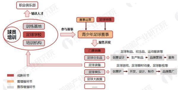 张家港贝贝足球俱乐部招生,张家港凤凰贝贝足球活动