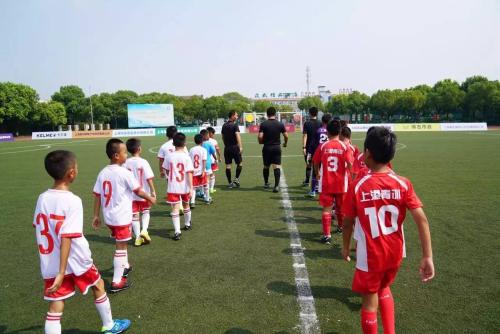 足协放弃归化球员,足协放弃亚洲杯