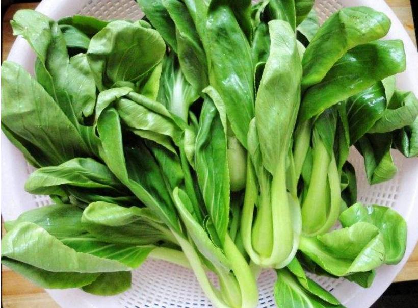 美国宝宝辅食大全及价格,美国十大辅食排行榜