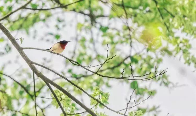媲美九寨沟的碧湖潭，被誉为萍乡小三峡，是不可错过的世外仙境
