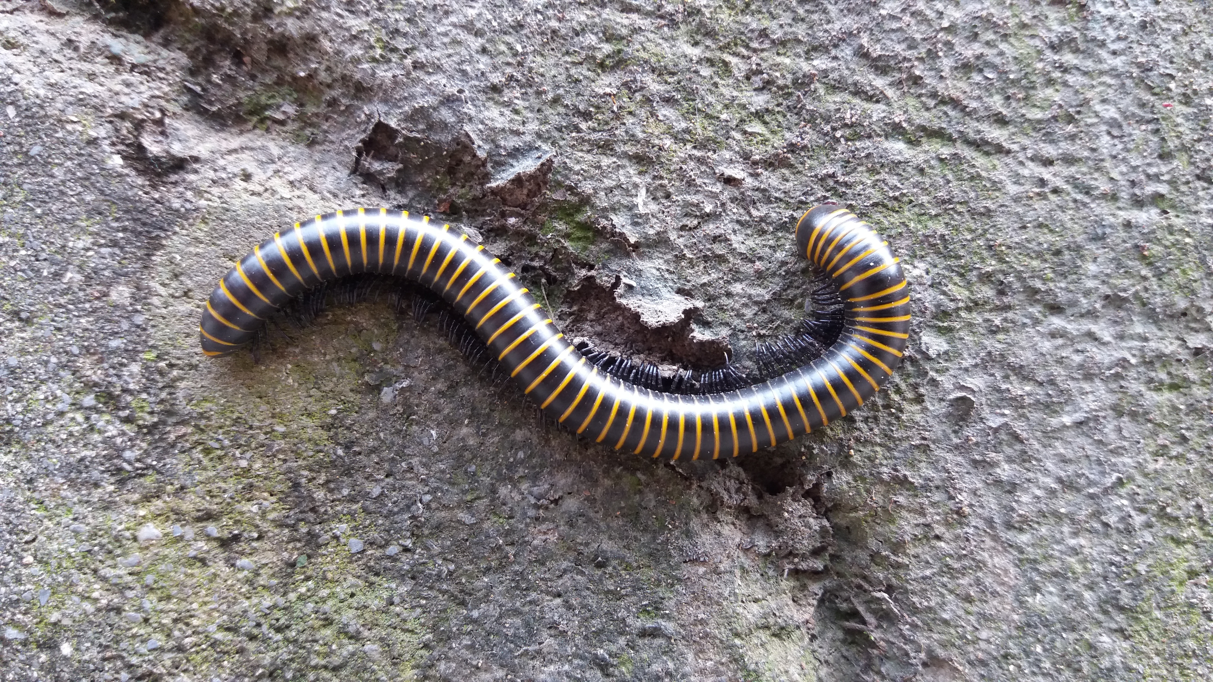 青山绿水船景区,焦作市博爱县青天河旅游景点