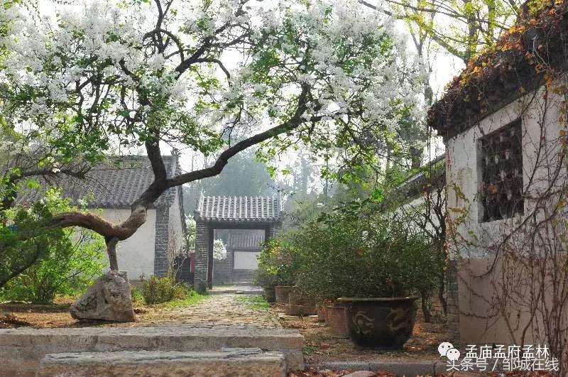 唯美中式风景,唯美花开美景图片