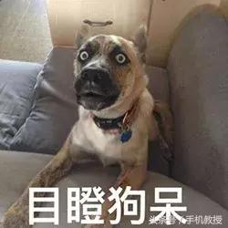 同样的app苹果为啥收钱,同样的app不同的价格