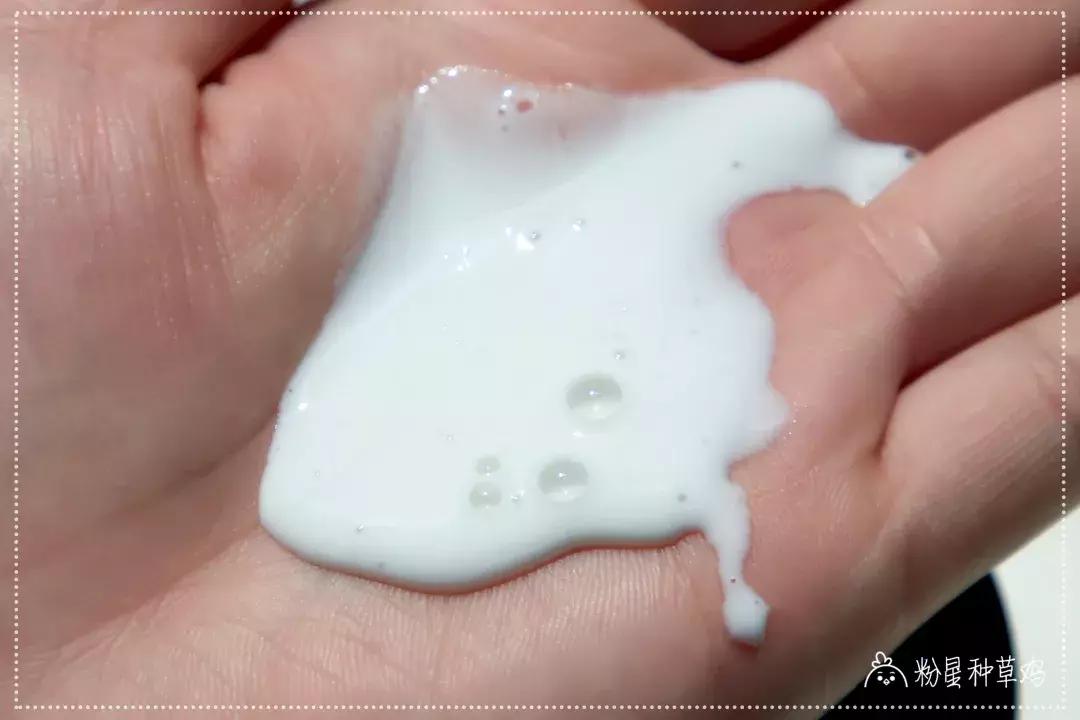 有哪些值得入手的平替香水,买不起大牌的香水怎么办