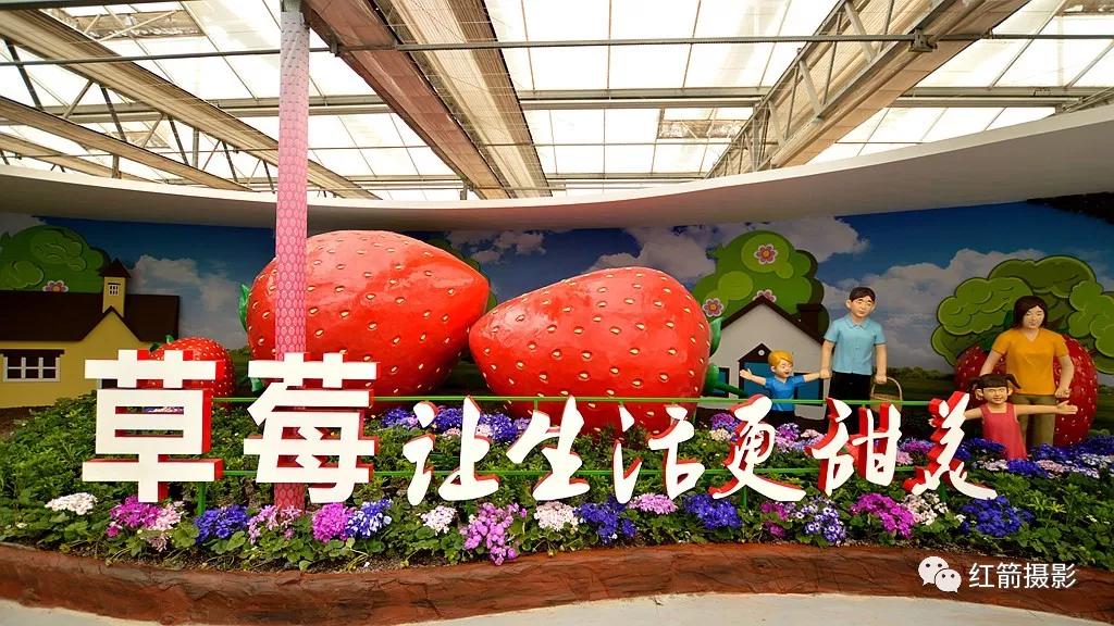 农业嘉年华北京,北京农业嘉年华延期