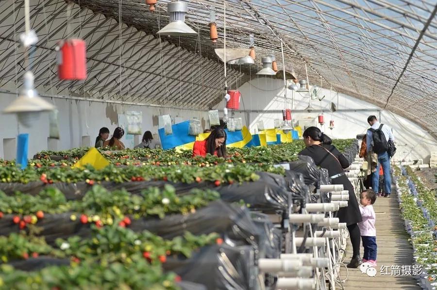 农业嘉年华北京,北京农业嘉年华延期